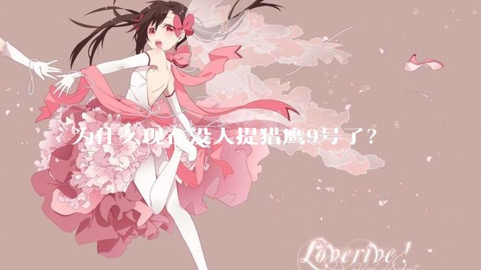 为什么现在没人提猎鹰9号了？
