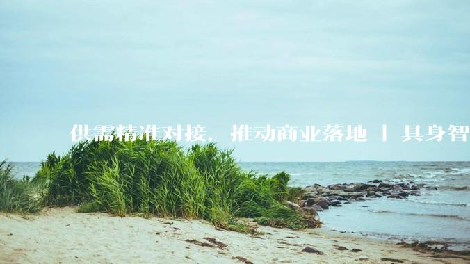 供需精准对接，推动商业落地 | 具身智能与人形机器人产业供需对接会在北京海淀成功举办_场景_企业